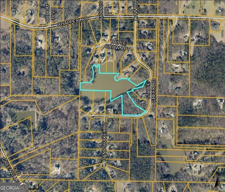 0 Btwn 165 & 205 Staple Creek Rd Road Road, Fayetteville, GA 30215 - #1