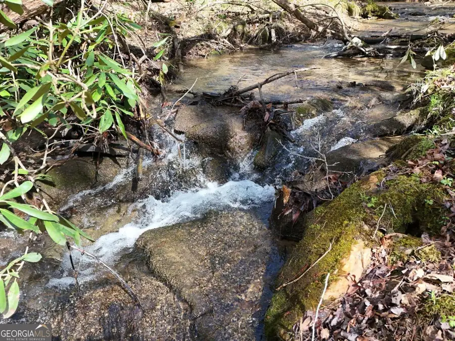 LOT 44A Synacia Drive, Mineral Bluff, GA 30559 - #2