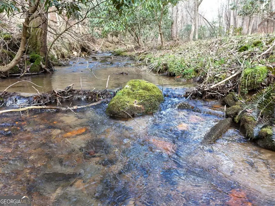 LOT 44B Synacia Drive, Mineral Bluff, GA 30559 - #2