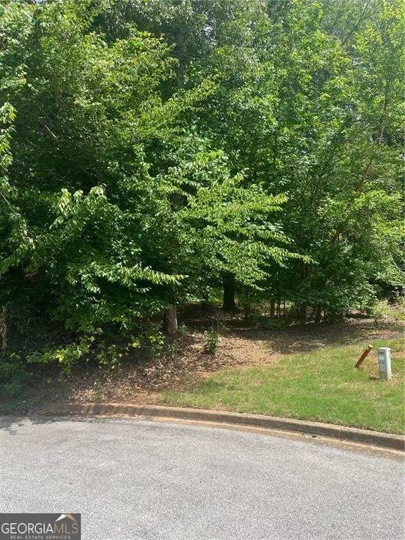 1894 Point River Drive, Duluth, GA 30097 - #2