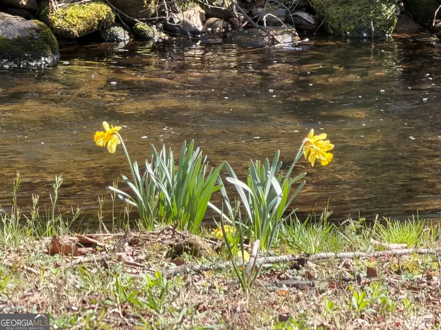 1162 Blacks Creek Drive, Clayton, GA 30525 - #2