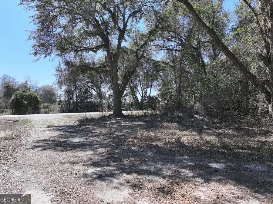 2430 Big Oak Rd, Damascus, GA 39841 - #3