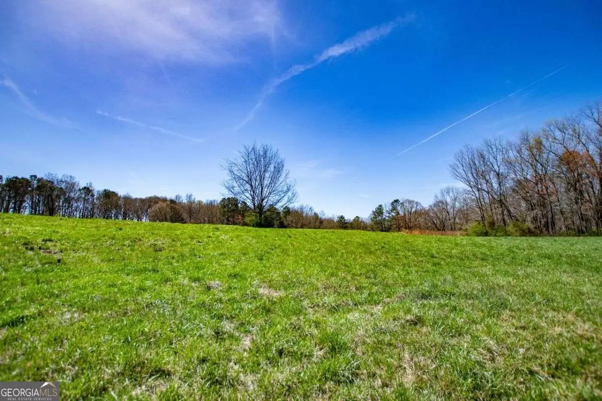 353 South Prospect Avenue, Waco, GA 30182 - #1