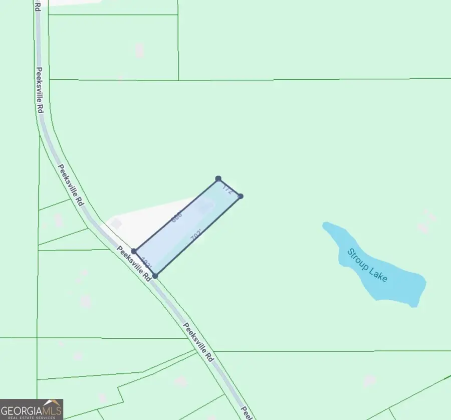 4860 Peeksville Road, McDonough, GA 30252 - #3