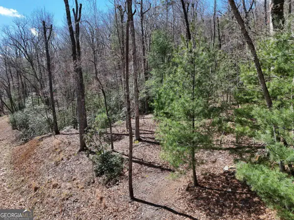 LOT 9 Native Trail, Blue Ridge, GA 30513