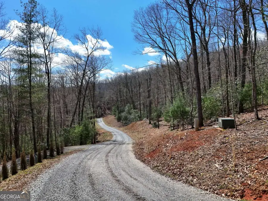 LOT 9 Native Trail, Blue Ridge, GA 30513 - #2