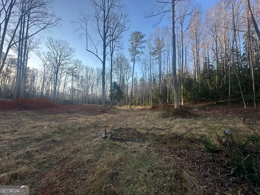 0 Rustic Beaver Road, Clarkesville, GA 30523 - #2