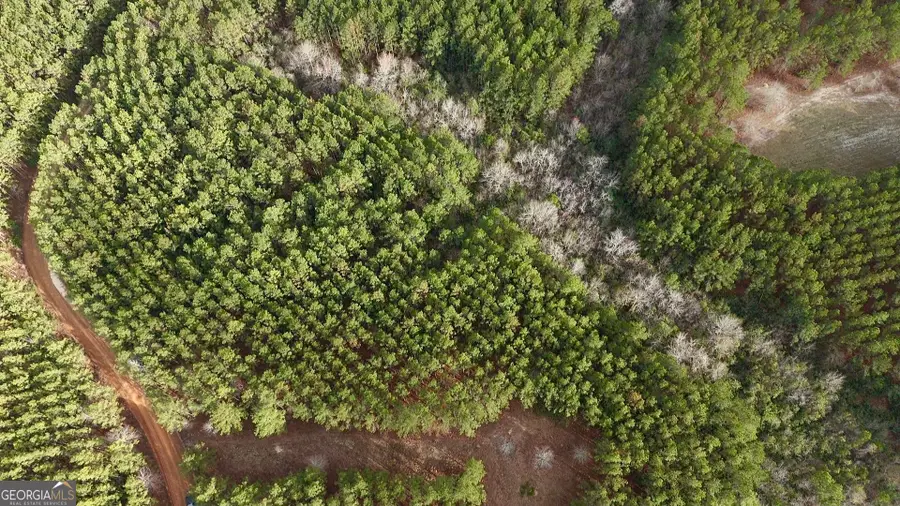 0 County Road 78, Milan, GA 31060 - #2