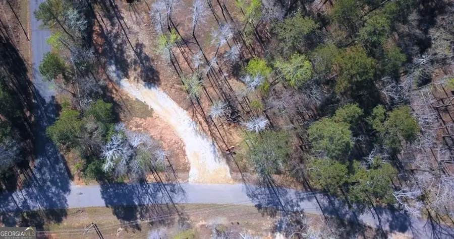 311 Foxglove Drive, Sparta, GA 31087 - #2