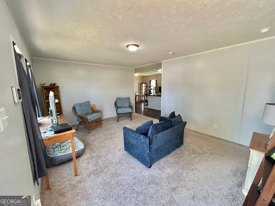 1010 Mize Road, Toccoa, GA 30577 - #3