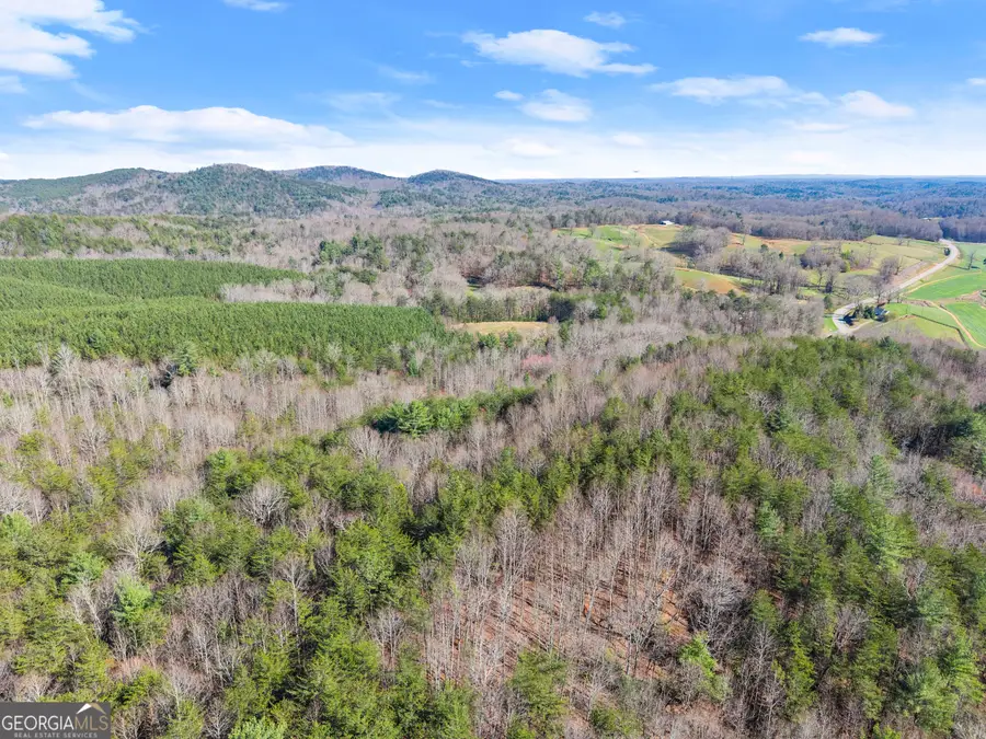 0 Elliott Family Parkway, Dawsonville, GA 30534 - #3