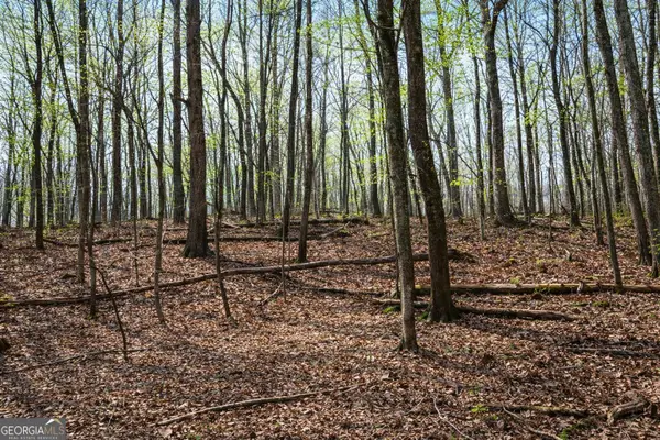 2315 Stonepile Road #LOT 4, Clarkesville, GA 30523