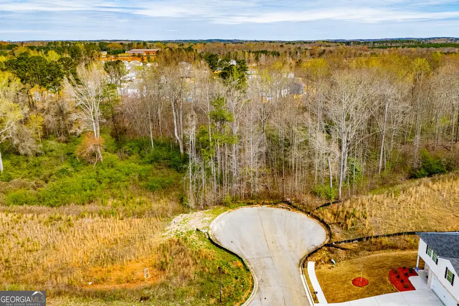 138 Deer Crossing, Temple, GA 30179 - #2