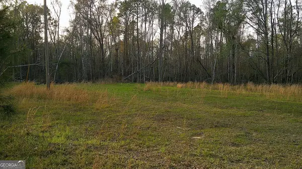 2837 Highway 56, Midville, GA 30441