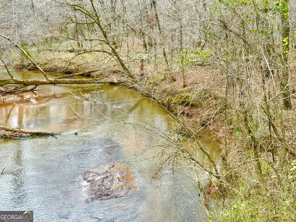 49 ACRES Jordon Road, Waverly Hall, GA 31831