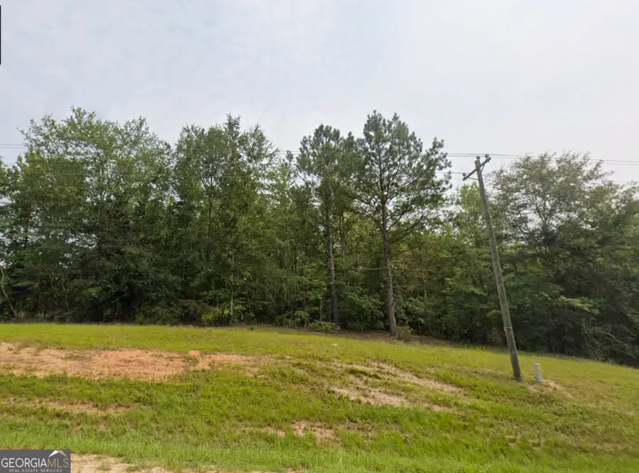 TBD E Old Wire Road #12, Butler, GA 31006 - #2
