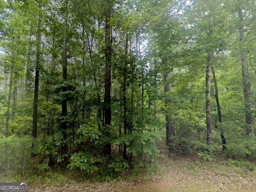 TBD E Old Wire Road #12, Butler, GA 31006 - #3