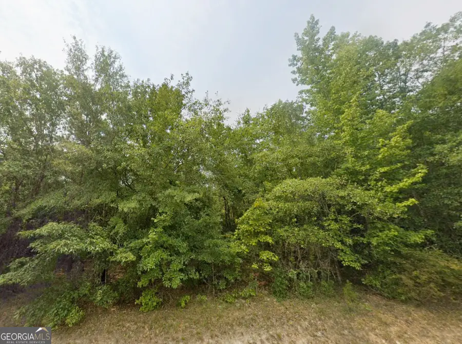 0 E Old Wire Road #18, Butler, GA 31006 - #2