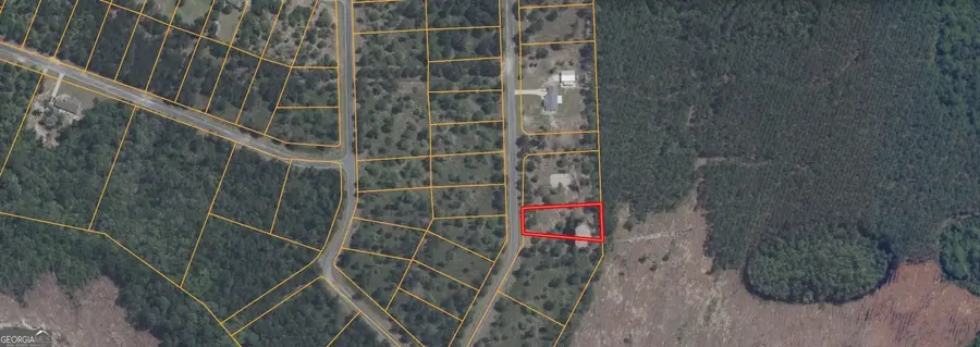 0 Big Horse Drive #83, Waynesville, GA 31566 - #2