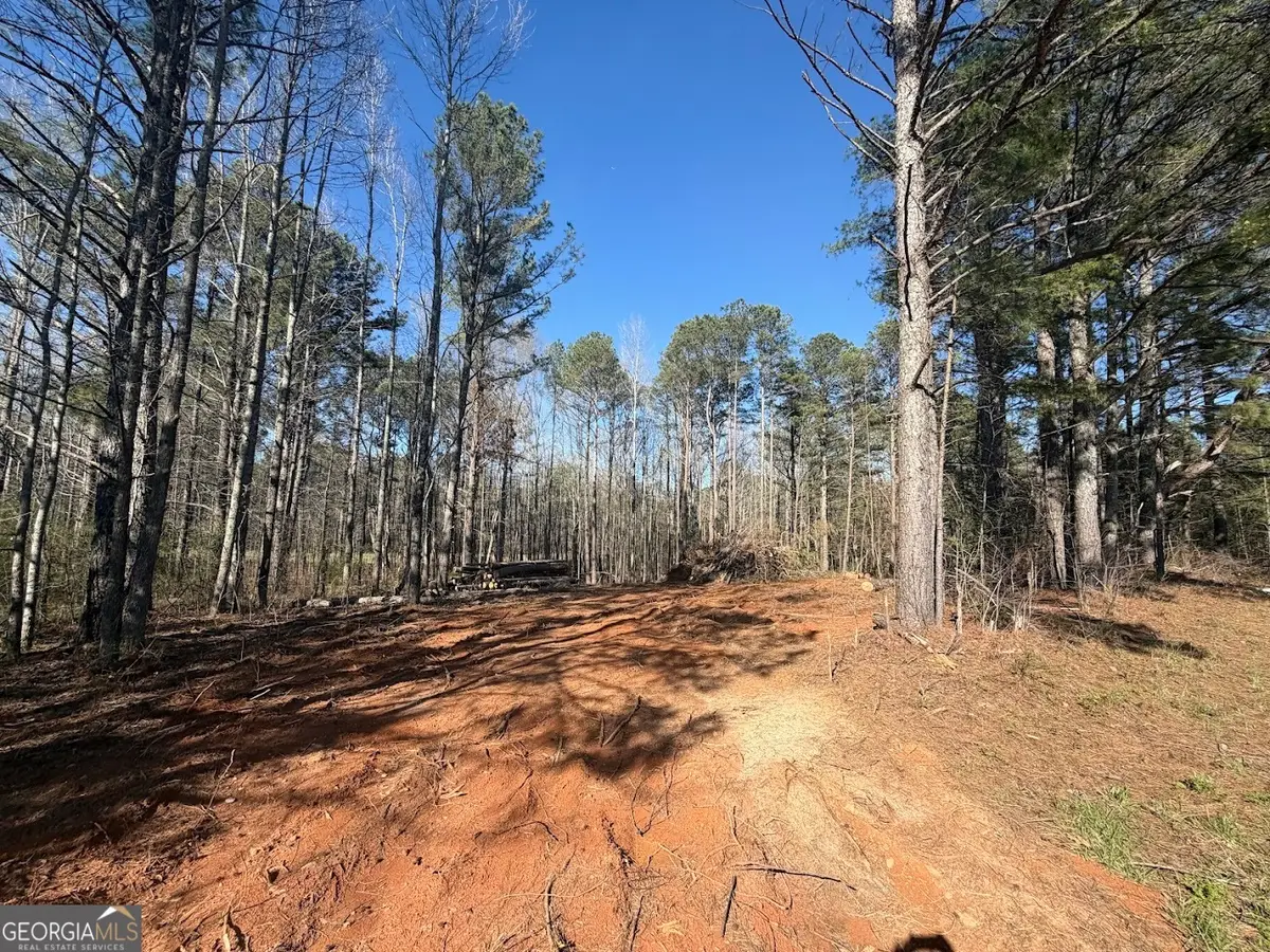 0 Waterford Road, Bremen, GA 30110 - #1