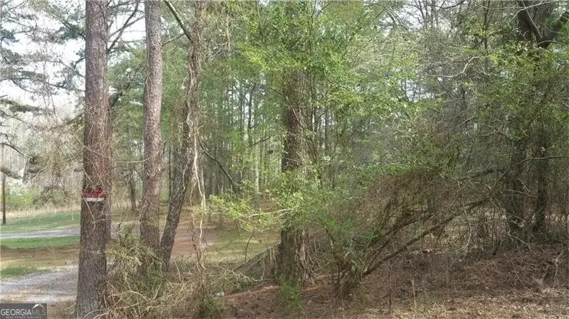 3838 Mcdaniel Mill Road, Conyers, GA 30094 - #2