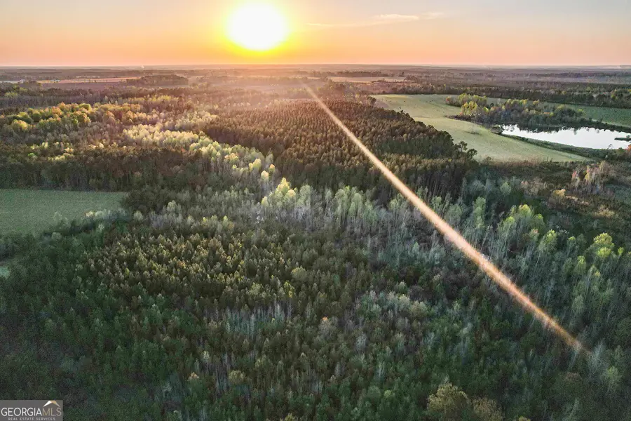 0 Dubberly Road, Baxley, GA 31513 - #3