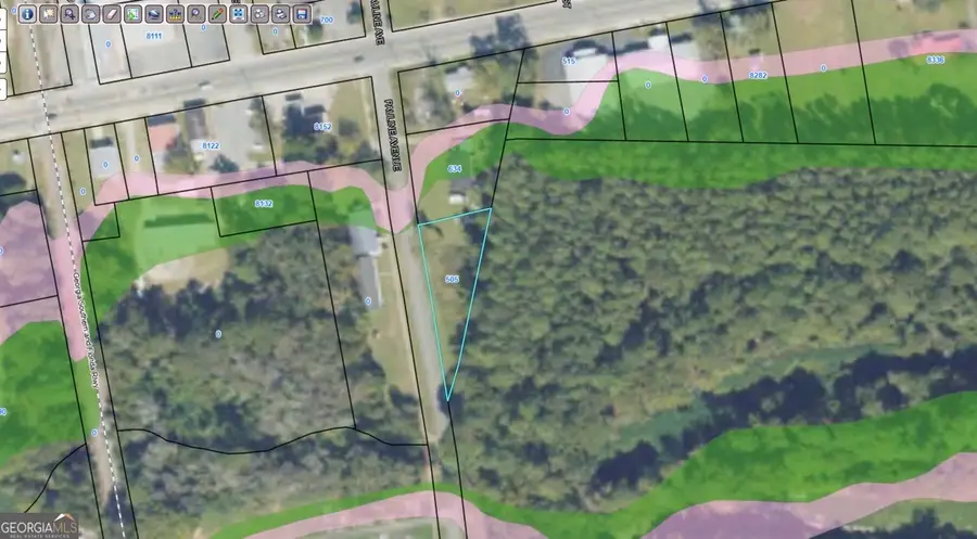 505 Pauline Avenue, Ray City, GA 31645 - #2