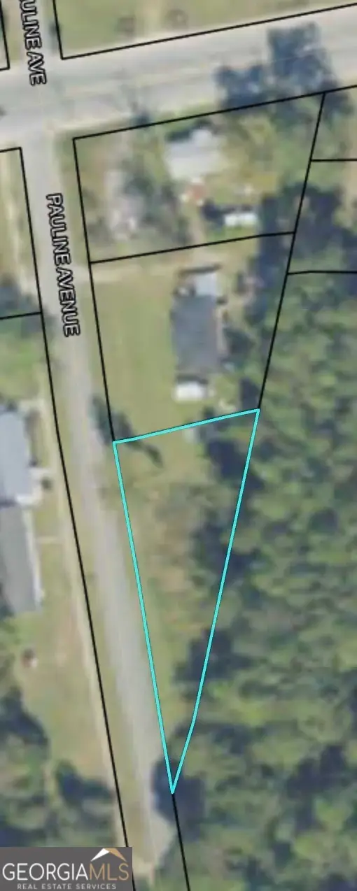 505 Pauline Avenue, Ray City, GA 31645 - #3