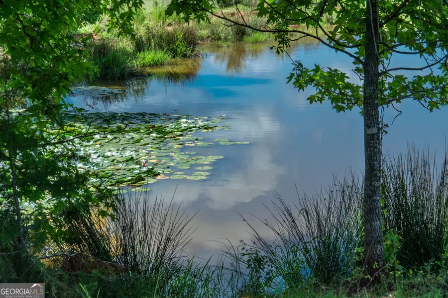 0 Hines Road, Hogansville, GA 30230 - #2