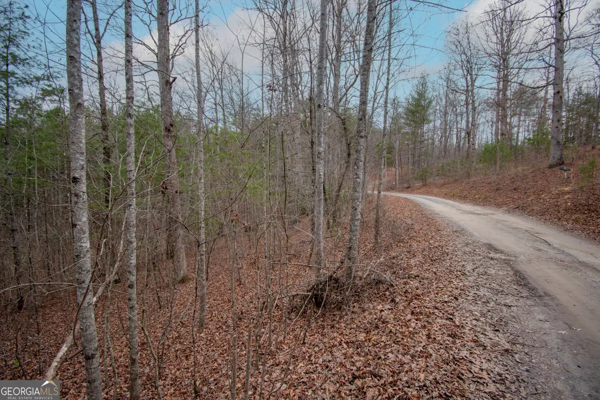 LOT 38 Posey Place, Murphy, NC 28906 - #1