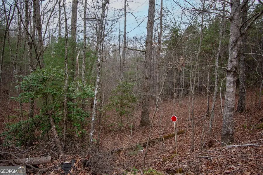LOT 38 Posey Place, Murphy, NC 28906 - #3