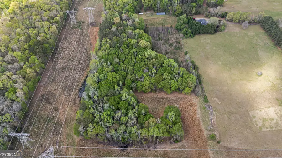 0 Bear Creek Trail, Hampton, GA 30228 - #2