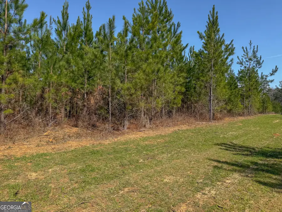 0 Dozier Road, Ellaville, GA 31806 - #2