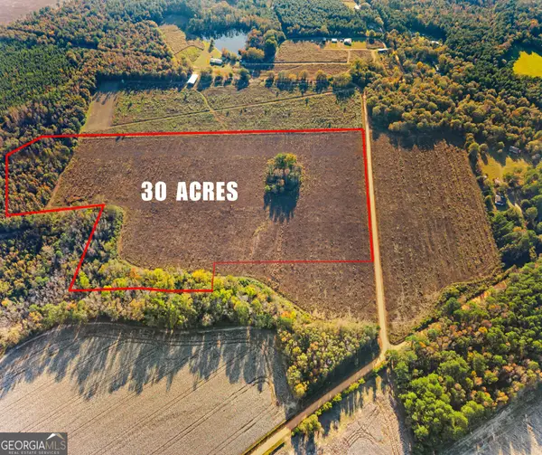 0 Waters Ln, Claxton, GA 30417