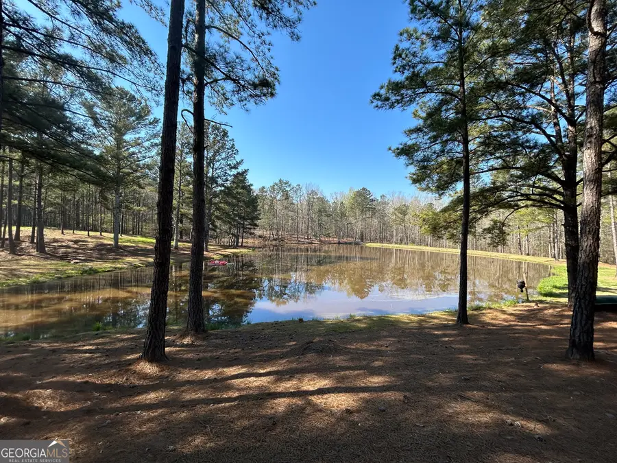 1251 Adams Road, Union Point, GA 30669 - #3