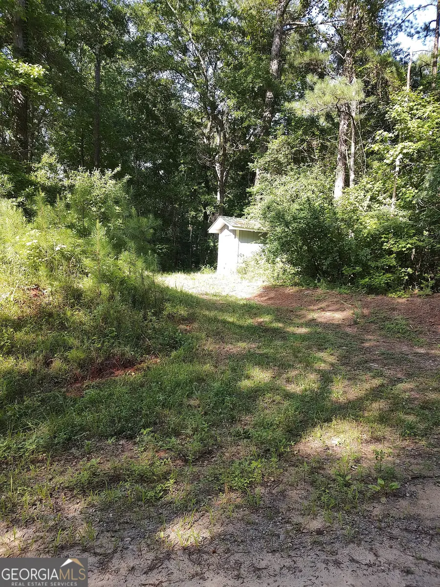 377 Hillsboro Lake Road, Hillsboro, GA 31038 - #3