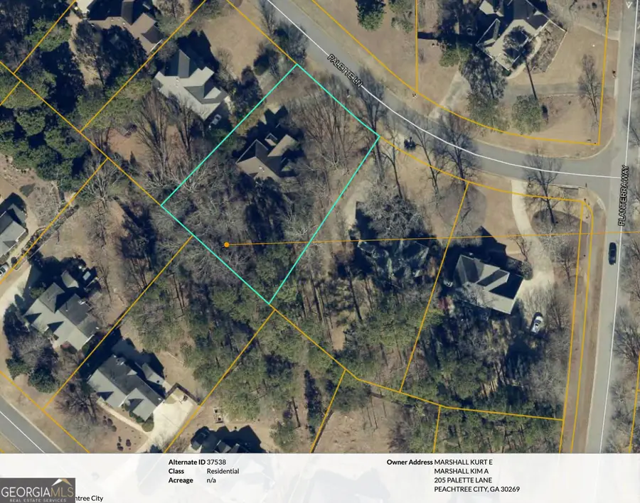 205 Palette Lane, Peachtree City, GA 30269 - #2