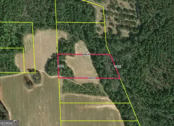 0 Webster Road, Waynesboro, GA 30830