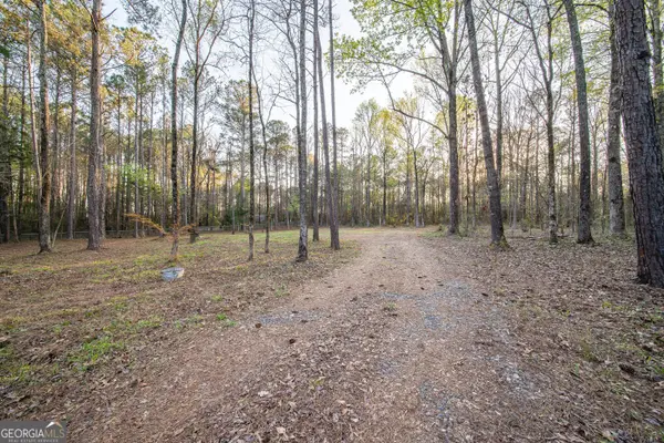 0 Kings Gap Road, Hamilton, GA 31811