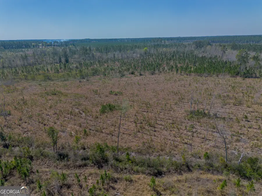 0 Memorial Drive, Waycross, GA 31503 - #3