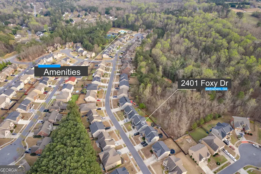 2401 Foxy Drive, Bethlehem, GA 30620 - #2