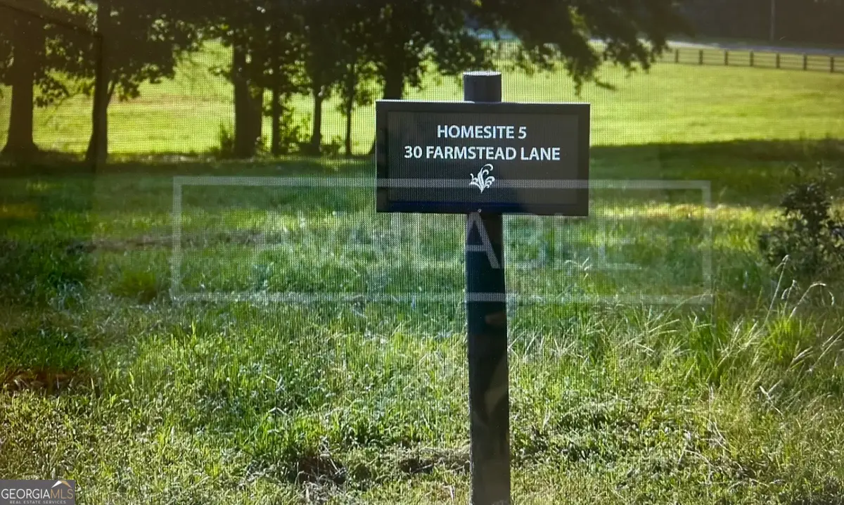 30 Farmstead Lane #HOMESITE 5, Chattahoochee Hills, GA 30268 - #1