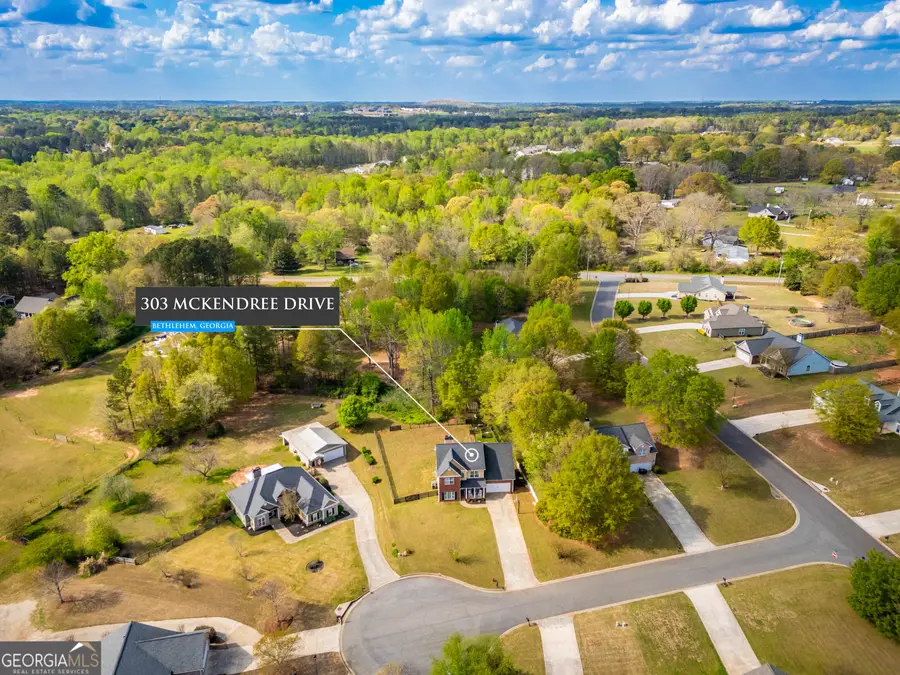 303 Mckendree Court, Bethlehem, GA 30620 - #2