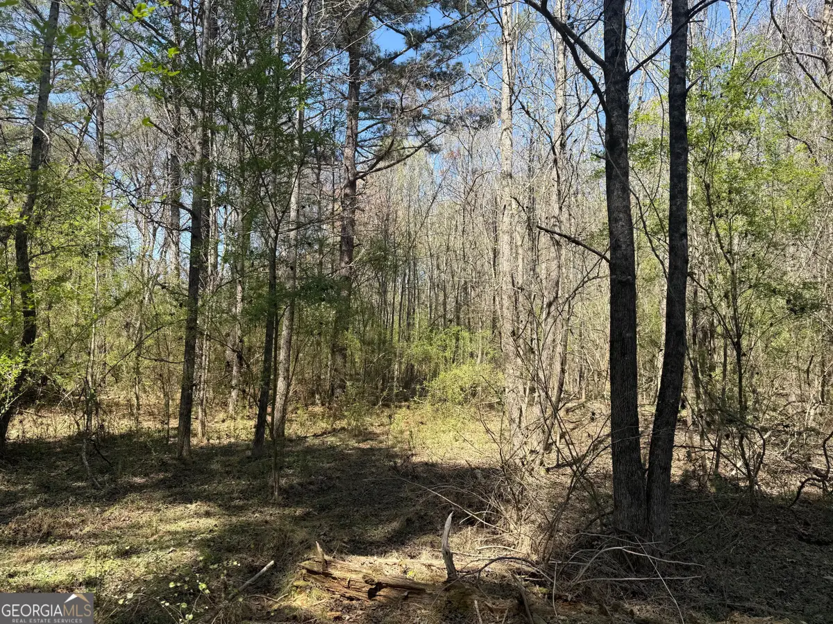 78 Mullinax Road, Taylorsville, GA 30178 - #1