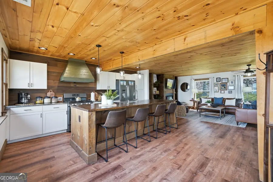 199 Highland Circle, Blue Ridge, GA 30513 - #3