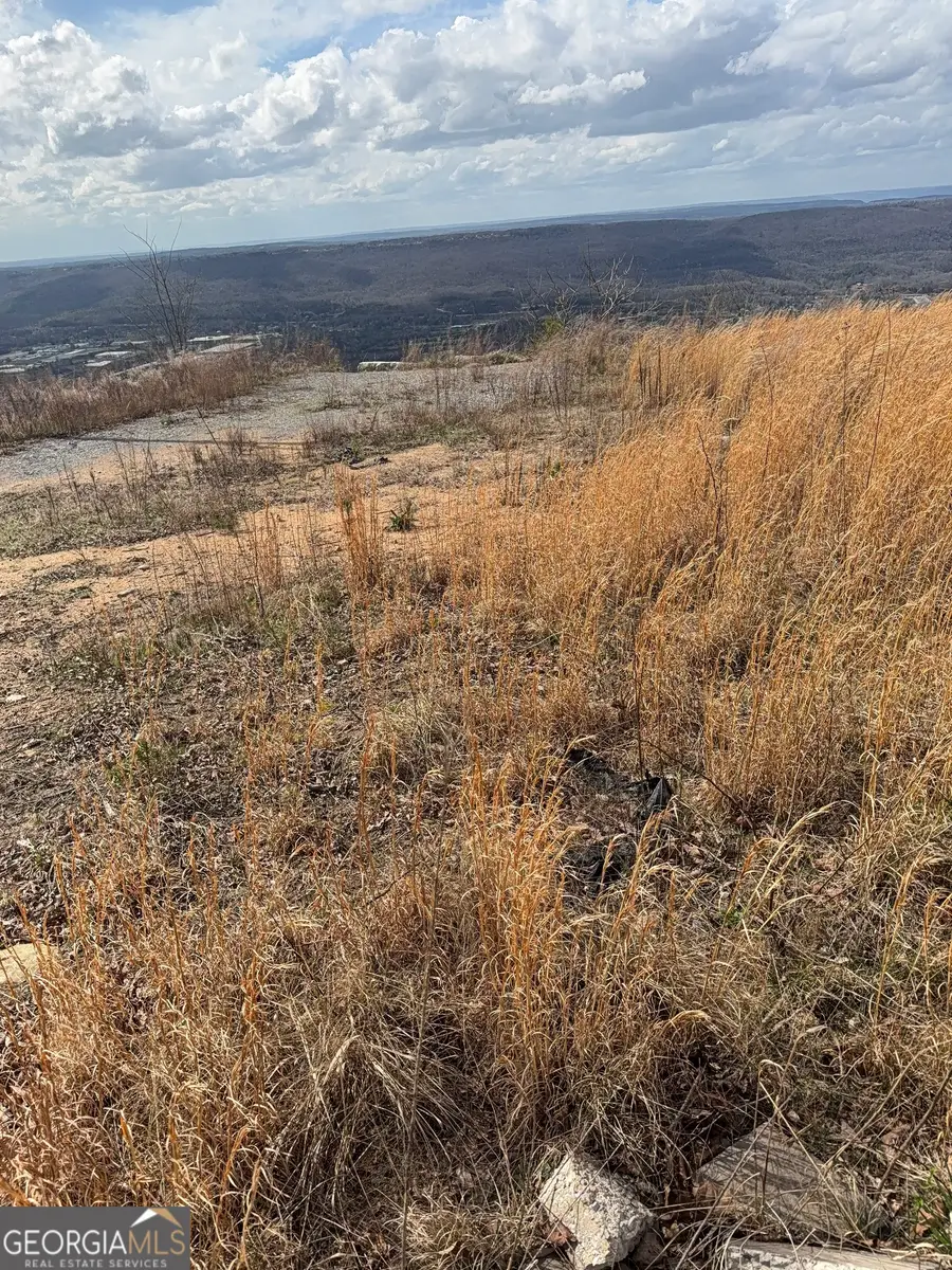 LOT 12 Scenic Highway, Rising Fawn, GA 30738 - #2