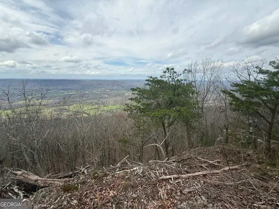 LOT 15 Scenic Hwy., Rising Fawn, GA 30738 - #3