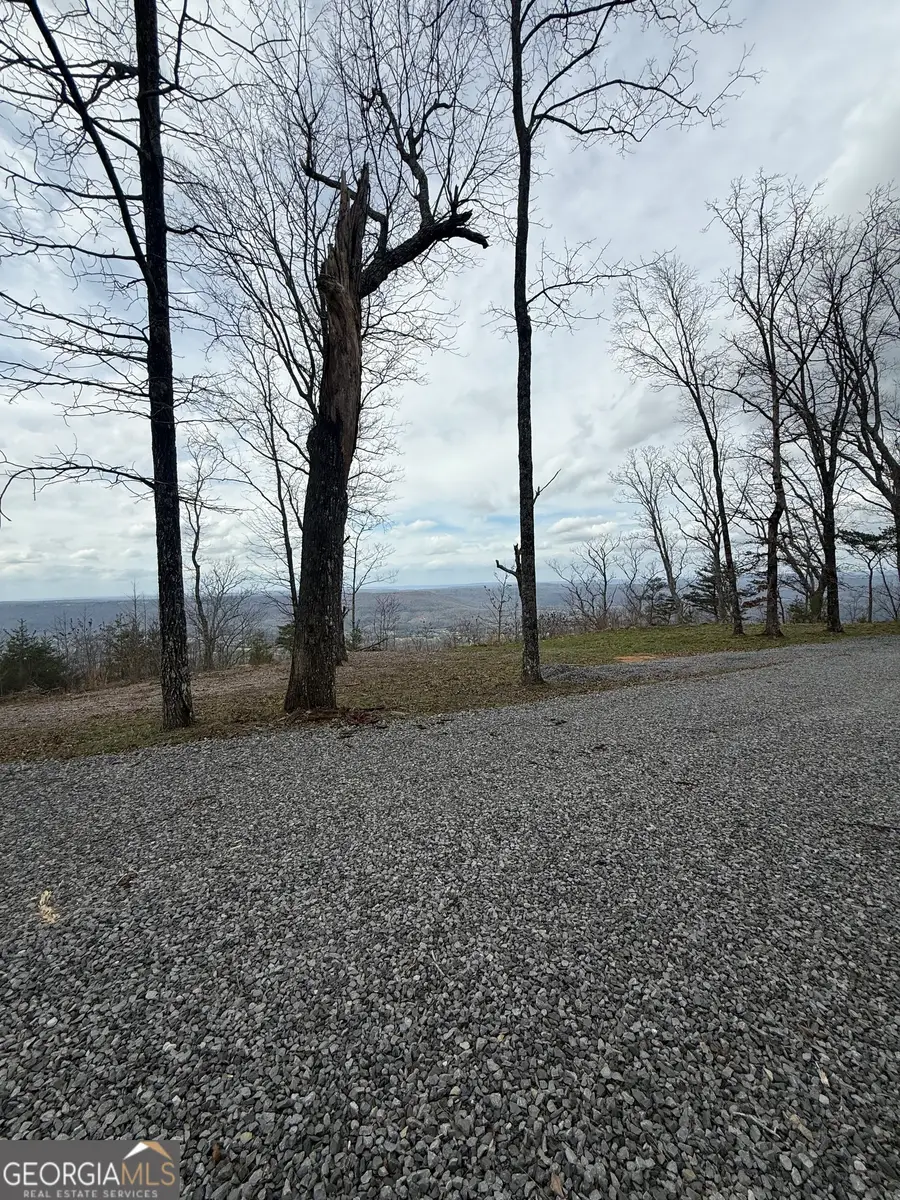 LOT 16 Scenic Hwy., Rising Fawn, GA 30738 - #3