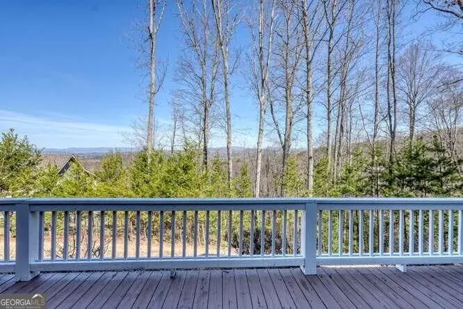 2081 Gallatin Road, Young Harris, GA 30582 - #3