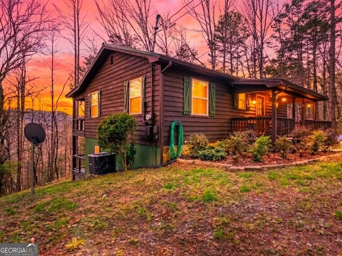 82 Dawgs Drive, Mineral Bluff, GA 30559 - #1